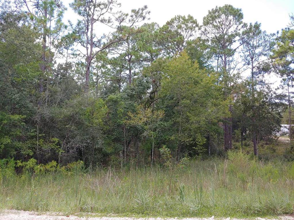 TBD 150TH Avenue - Photo 1
