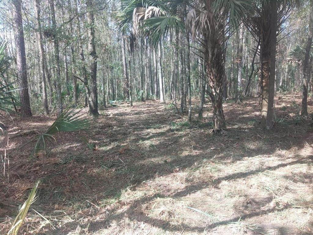 18954 County Rd 329 - Photo 1