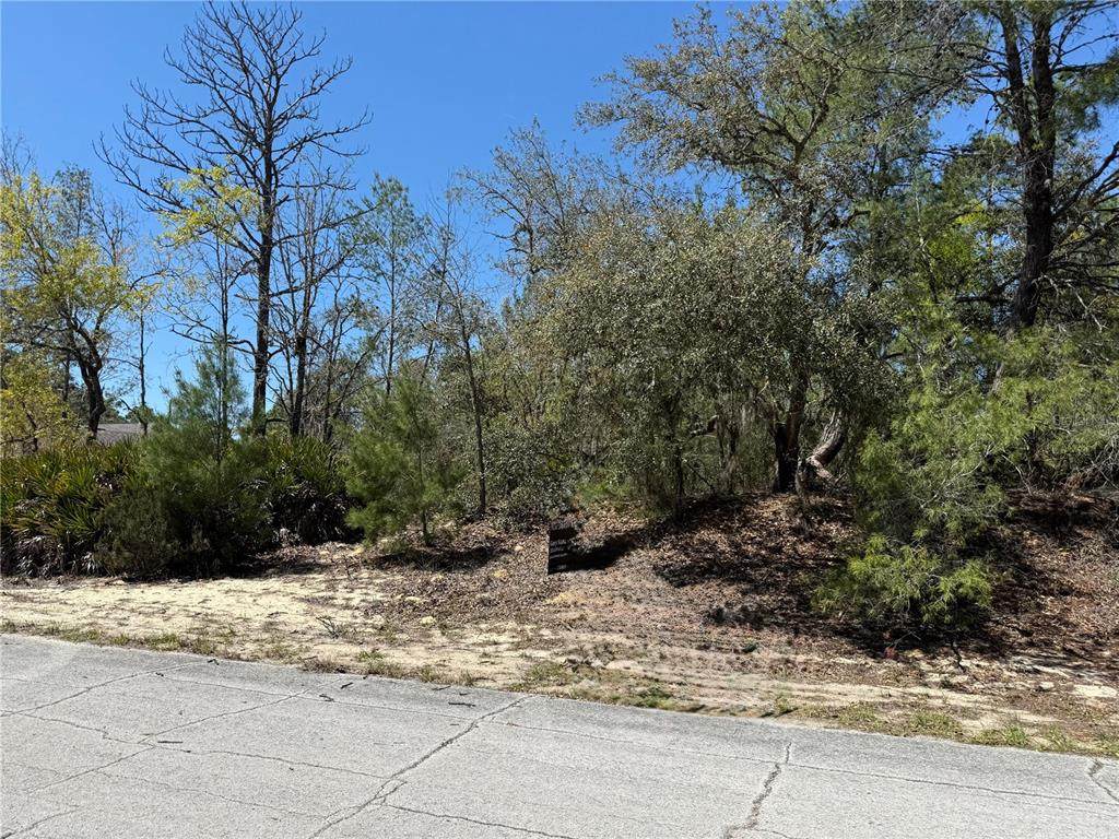 10762 Moreno Drive - Photo 1