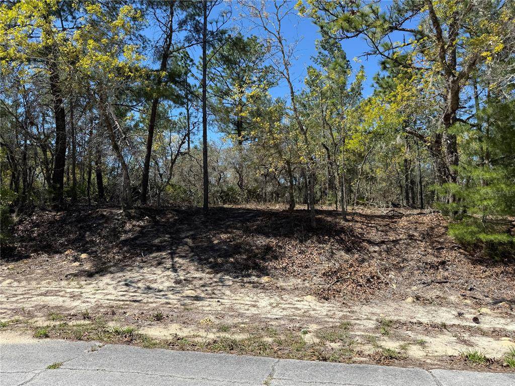 10776 Moreno Drive - Photo 1