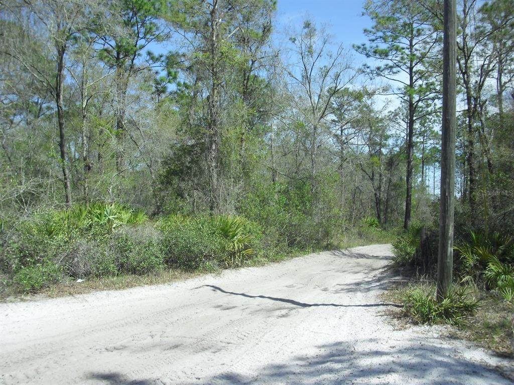 Tract 418 158TH Lane - Photo 1