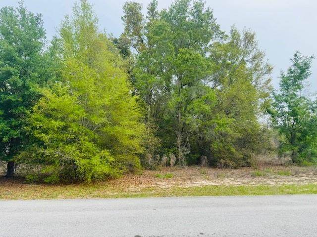  83RD Street - Photo 1