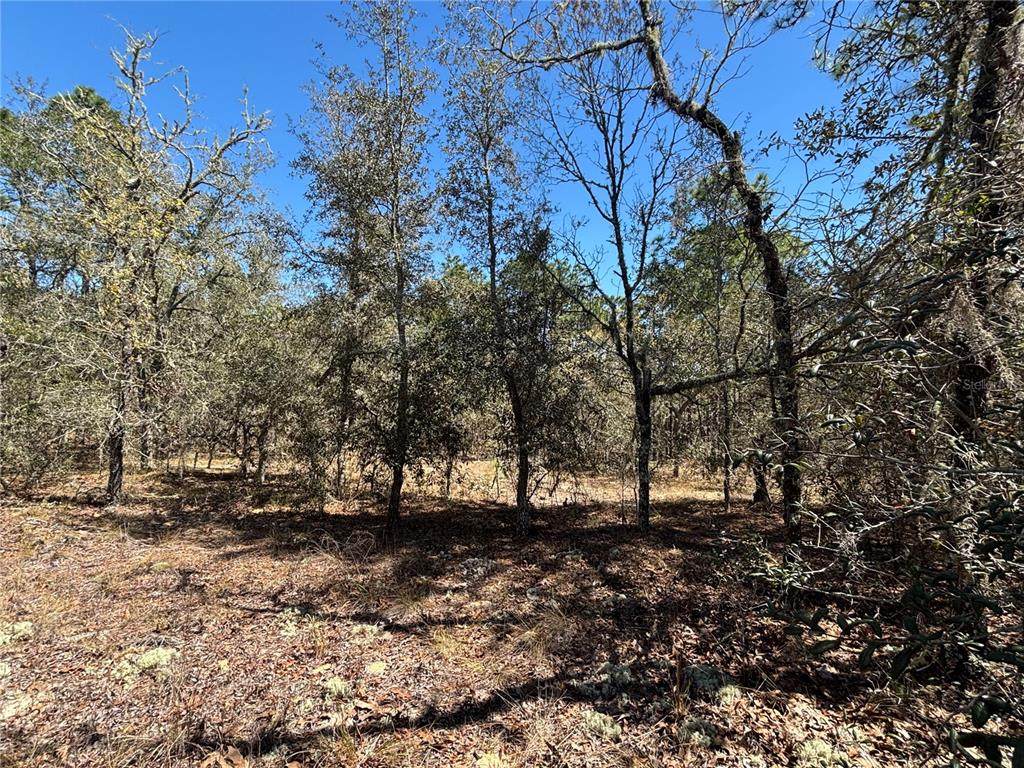 0000 Hillcrest Avenue - Photo 1