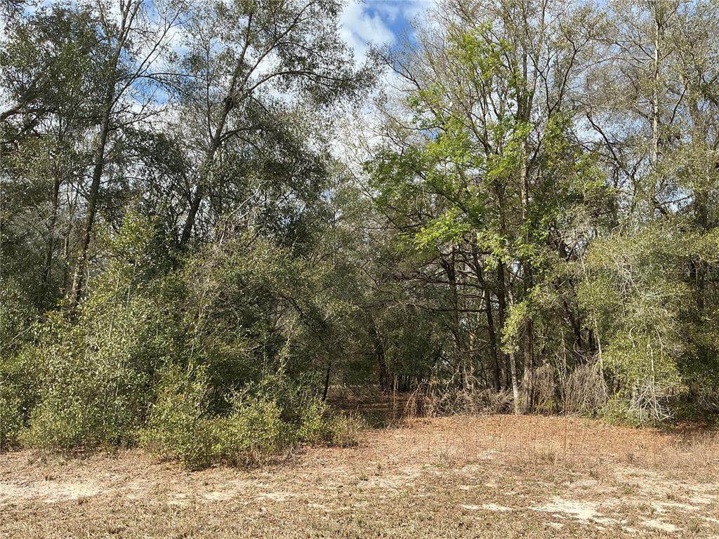 9299 Goodstone Drive - Photo 1