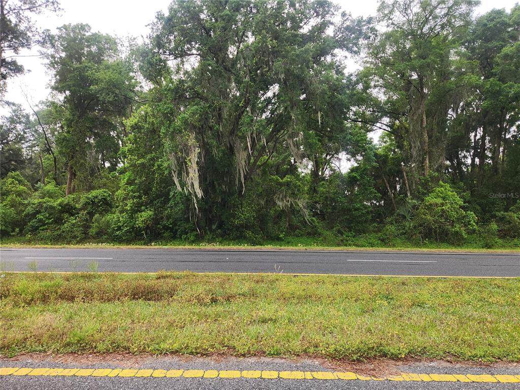 00 Hwy 484 - Photo 1