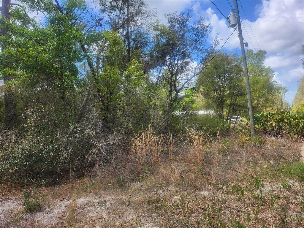 TBD 236 Lane - Photo 1