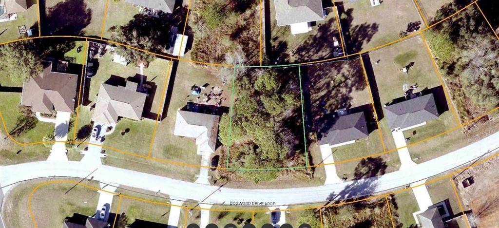 Lot 19 Dogwood Drive Loop - Photo 1