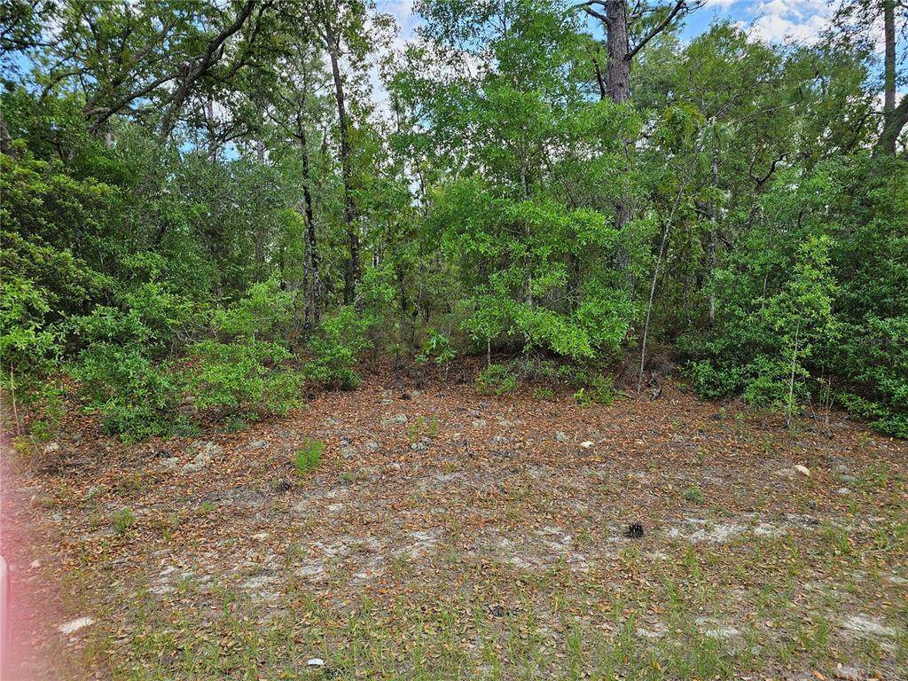 767 Byrd - Photo 1