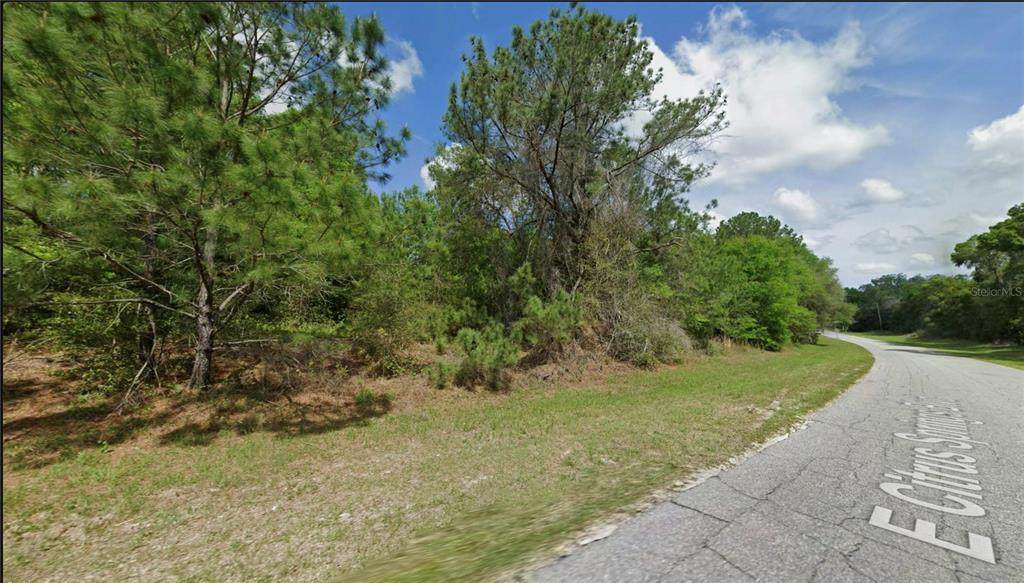 325 Citrus Springs Boulevard - Photo 1