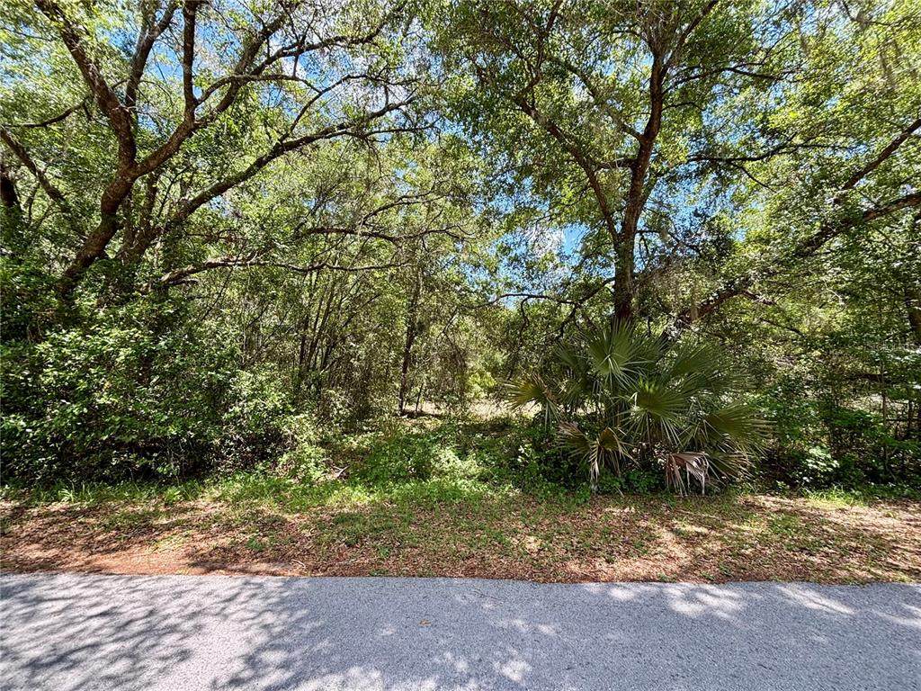 Lot 15 Shorewood Drive - Photo 1