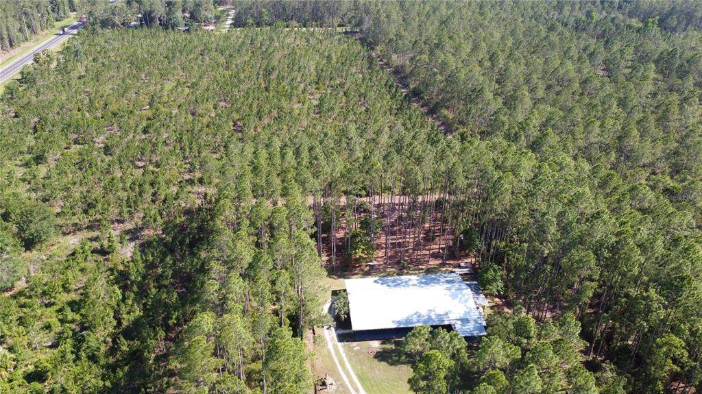 681 County Road 315 - Photo 1