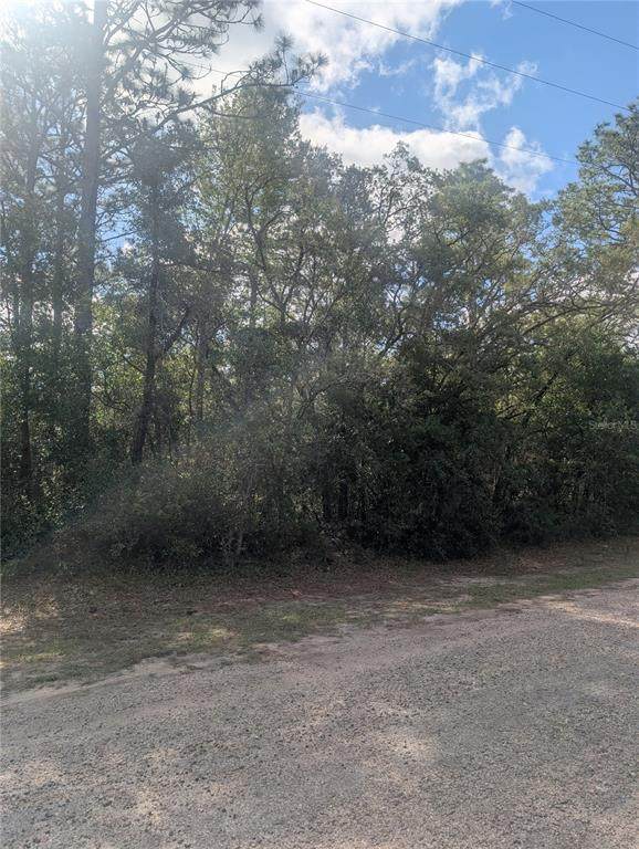 8791 Folland Drive - Photo 1