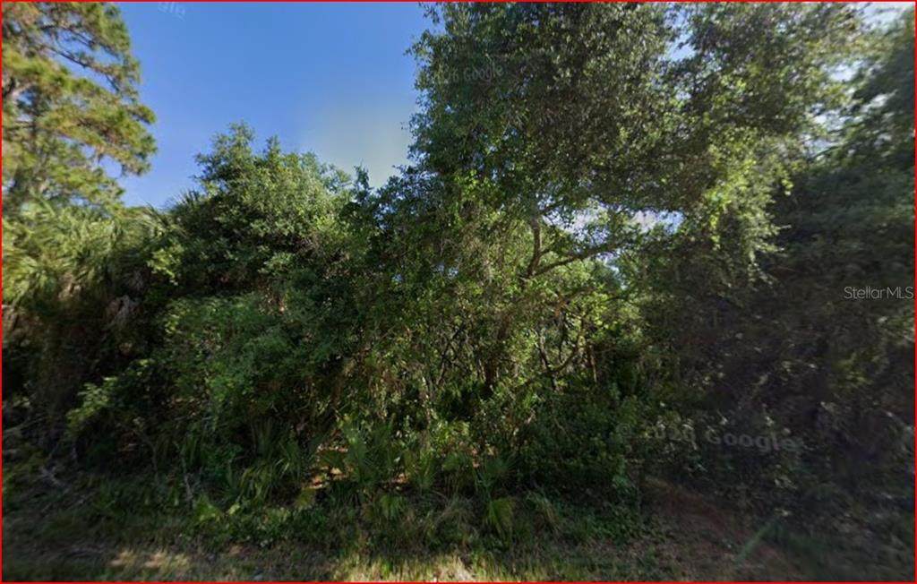 14258 Chamberlain Boulevard - Photo 1