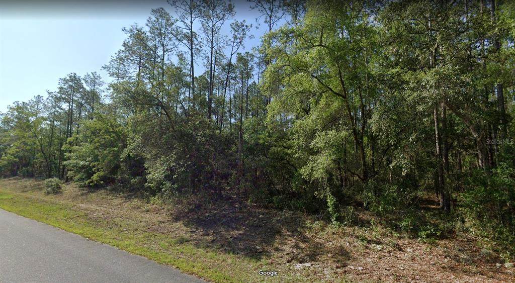 546 Bimini Drive - Photo 1