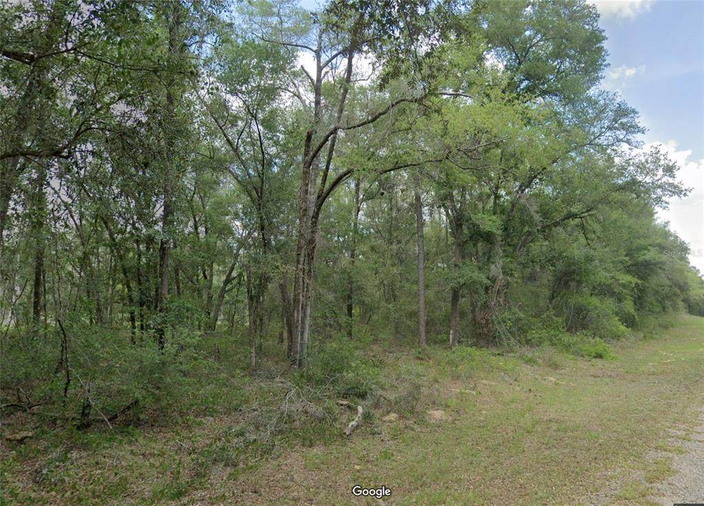 719 Byrd Loop - Photo 1