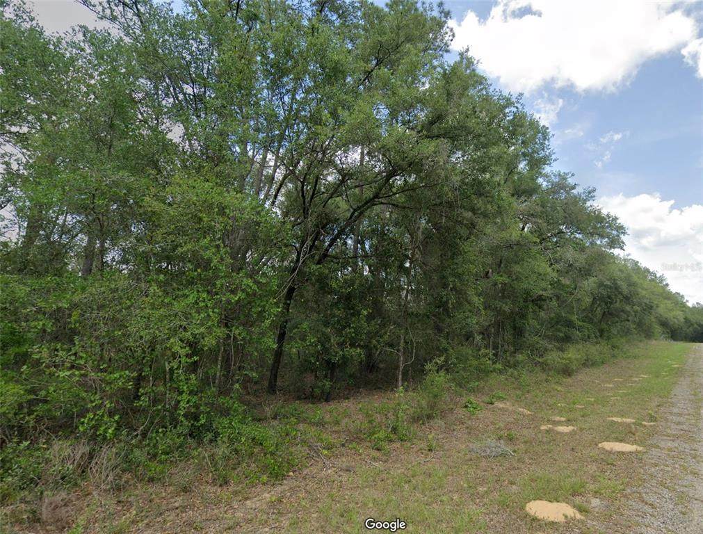 737 Byrd Loop - Photo 1