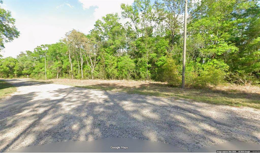 10865 Hatari Drive - Photo 1
