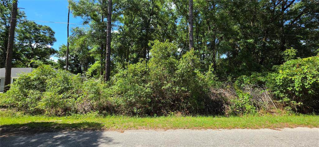 Lot 10 61 Lane - Photo 1