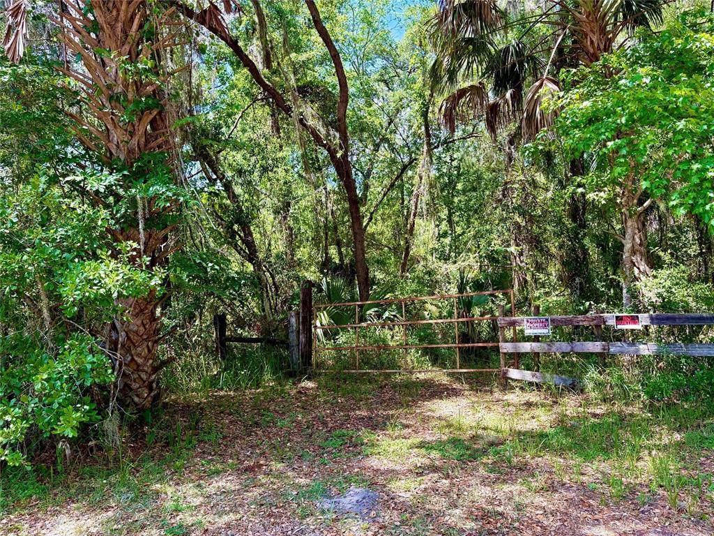  Old Crystal River Road - Photo 1