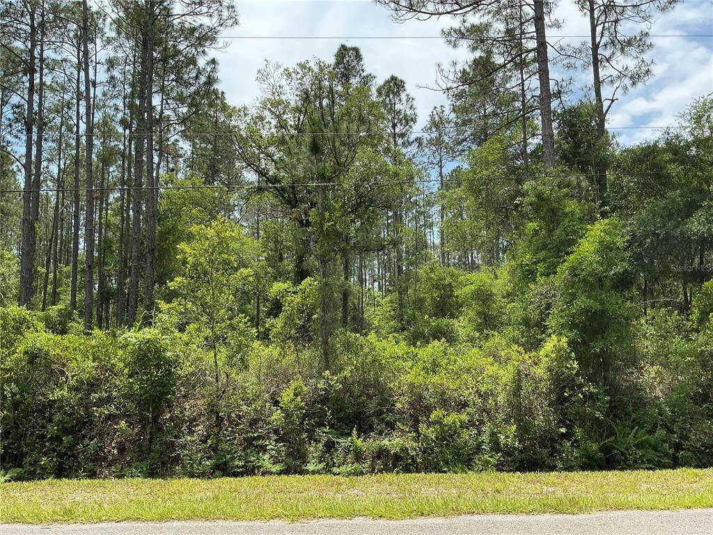 4365 Vicki Street - Photo 1