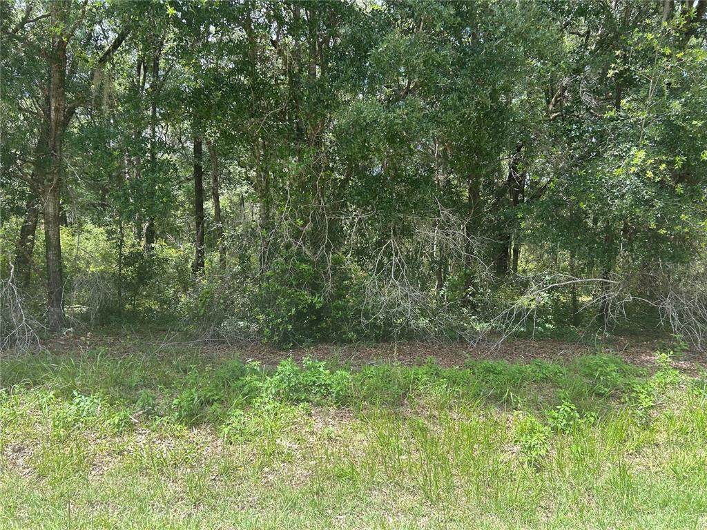  111 Lane - Photo 1