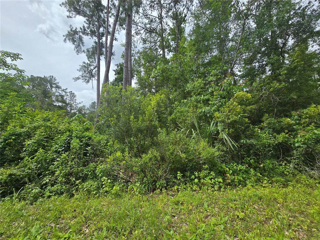 320 Sequoia Drive - Photo 1