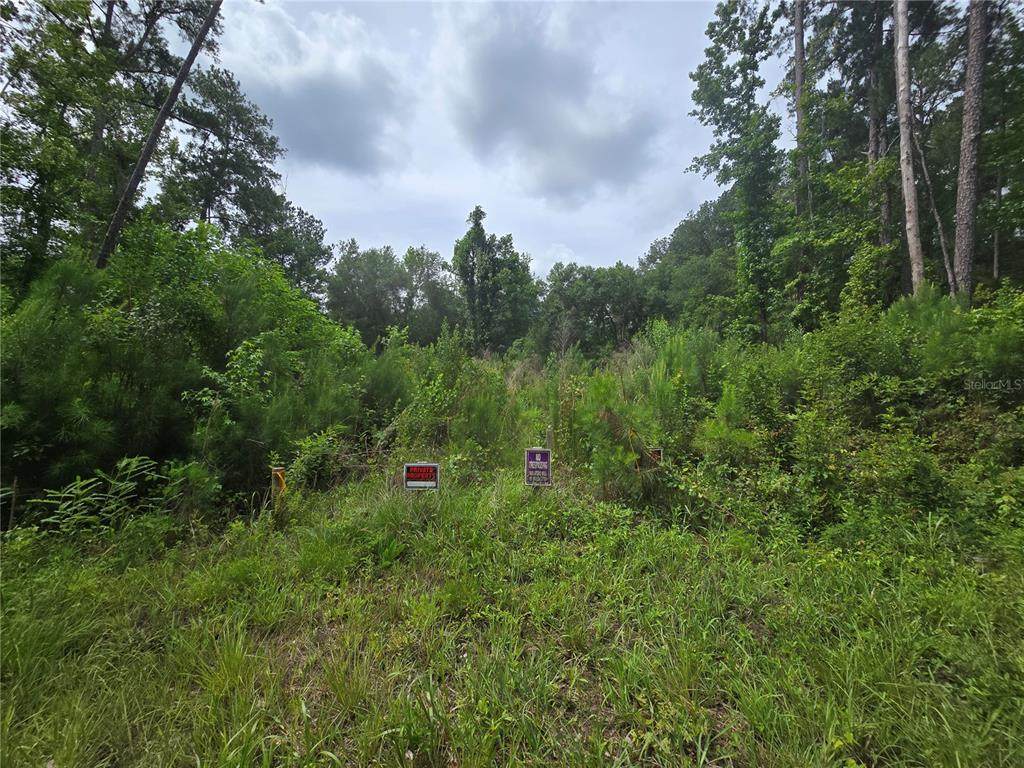 316 Sequoia Drive - Photo 1