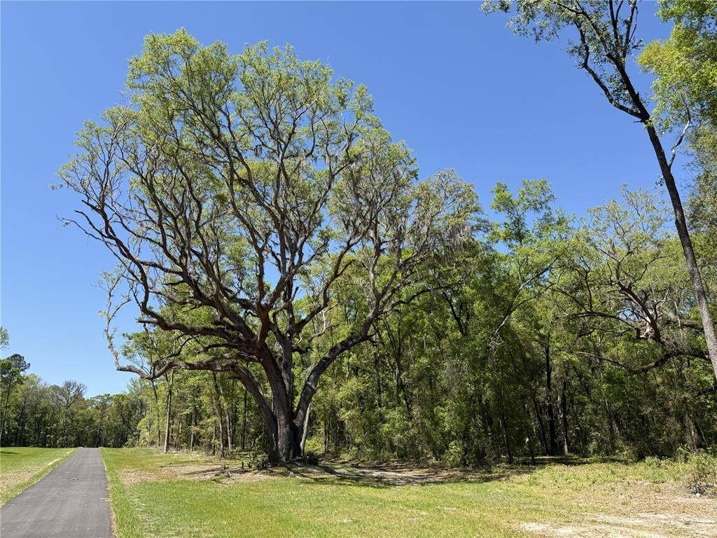 Irvine Acres #5 (13a Hwy 318 - Photo 1