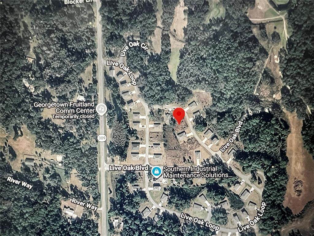260 Live Oak Loop - Photo 1