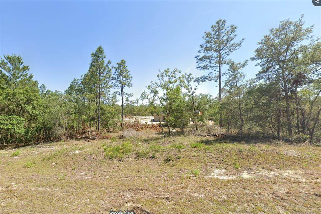  North Lake Boulevard - Photo 1