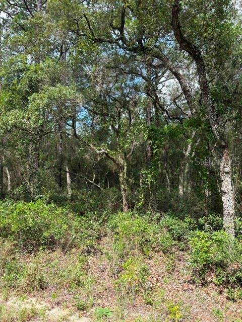 TBA Winding Hills Road - Photo 1