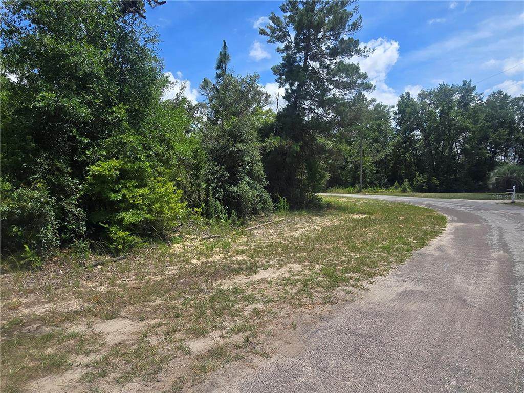 8365 Ibsen Drive - Photo 1