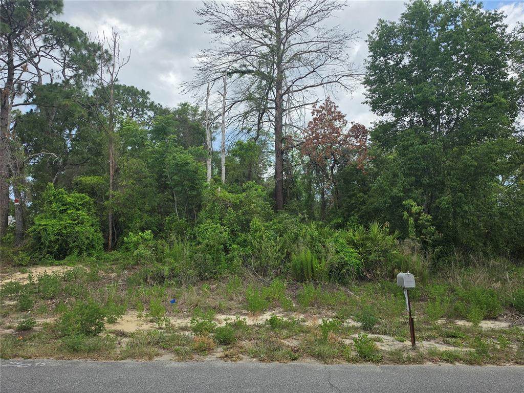 3475 El Prado Avenue - Photo 1