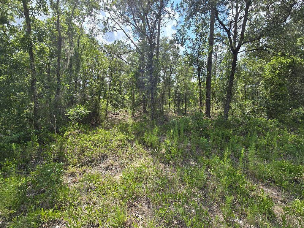 00 121ST Avenue - Photo 1