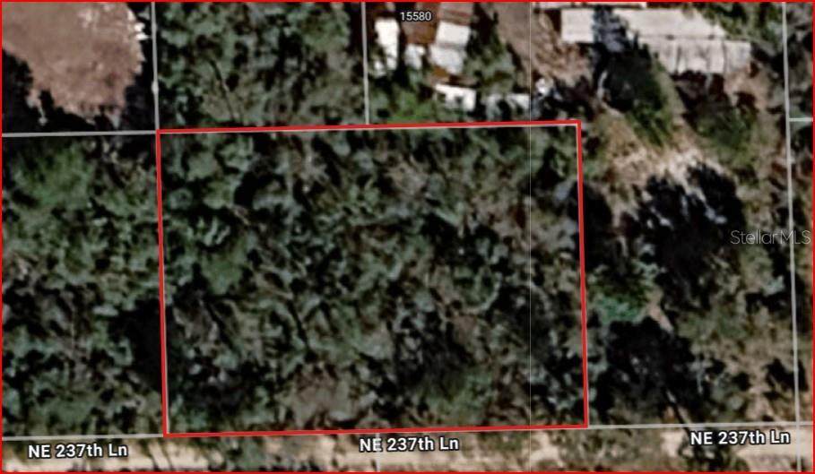 Lot 5 & 6 237TH Lane - Photo 1