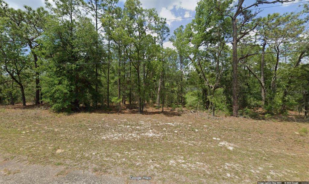 447 Cabot Lane - Photo 1