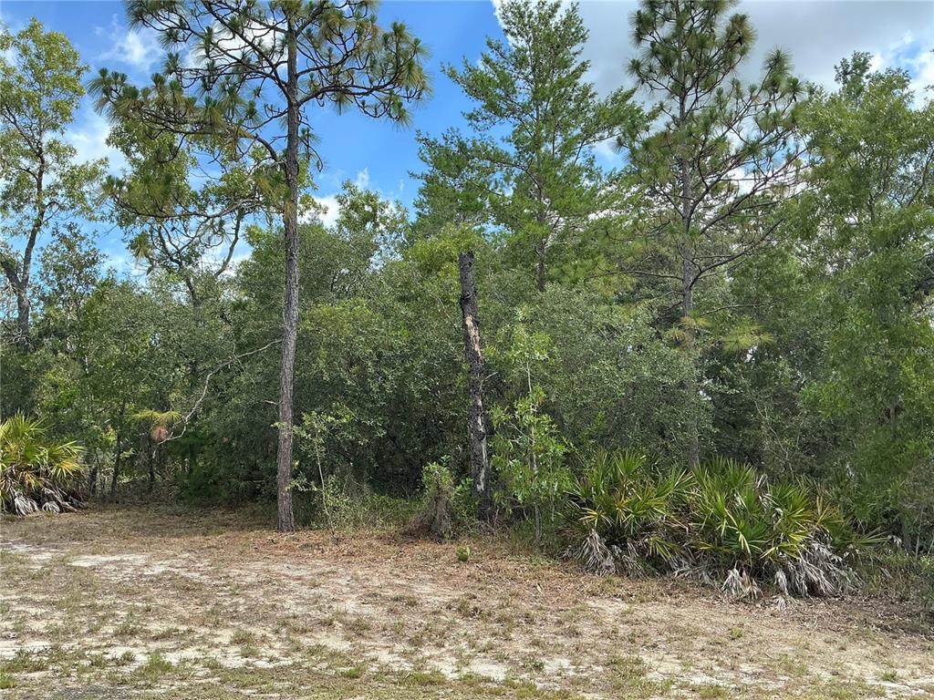  Persimmon Avenue - Photo 1