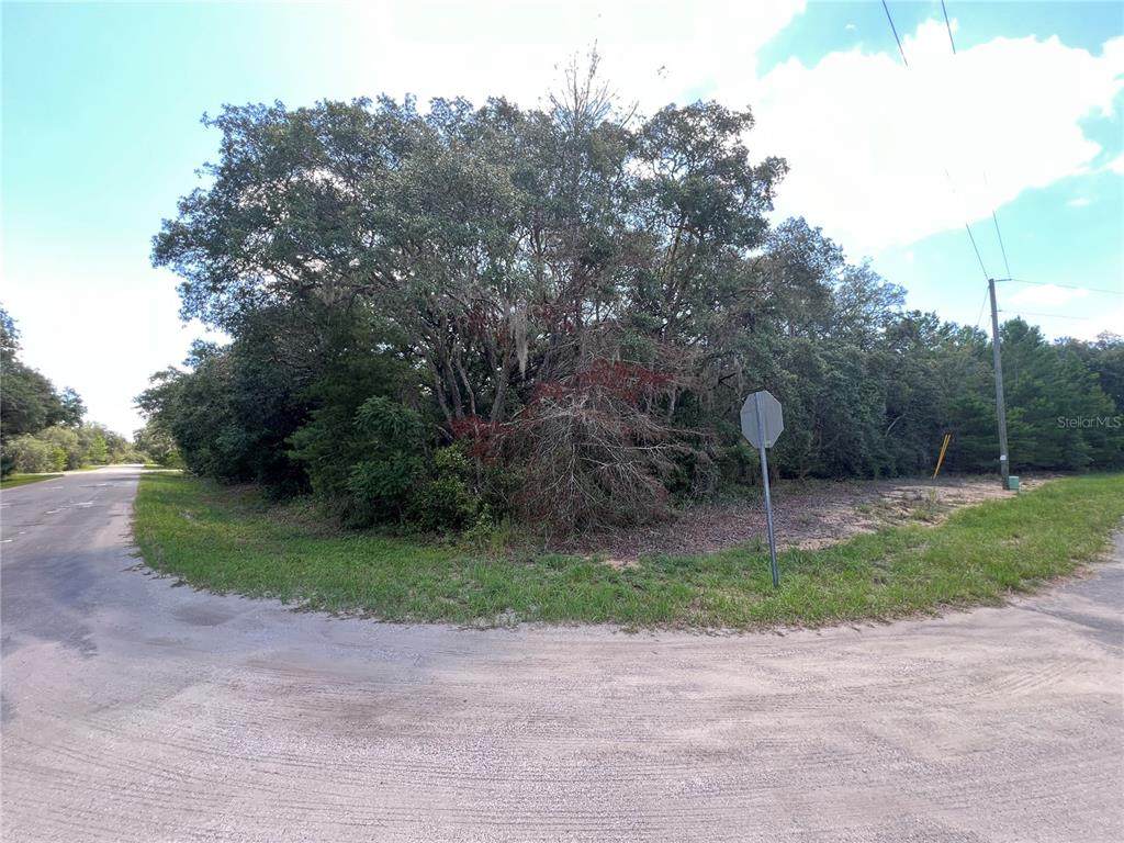 LOT 36 BLK1140 Fisher Way Trail - Photo 1