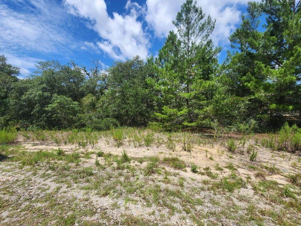 00 Gardenia Court - Photo 1