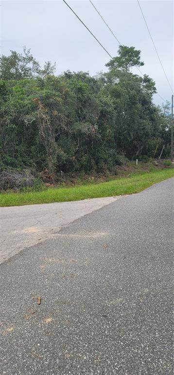 Lot 15 Olive Way - Photo 1