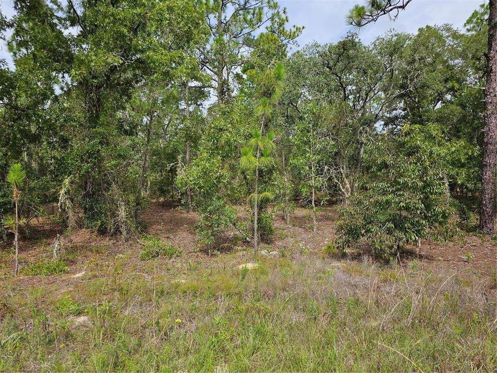 00 122 Avenue - Photo 1