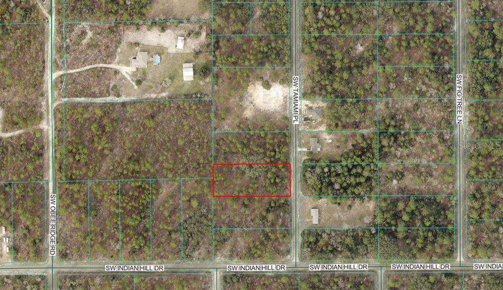 00 Tamiami Place - Photo 1