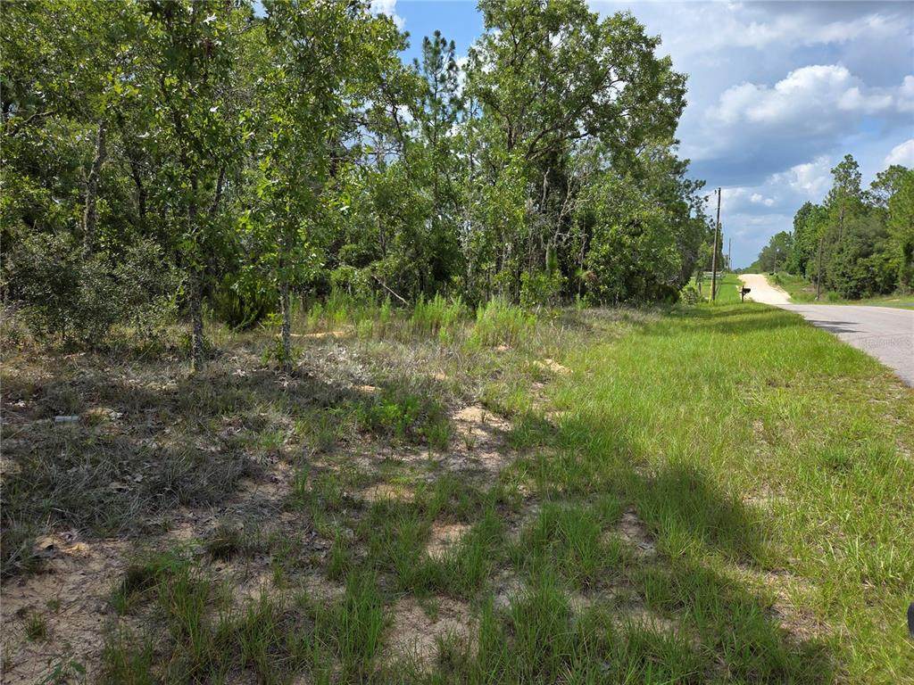 0000 150TH Avenue - Photo 1