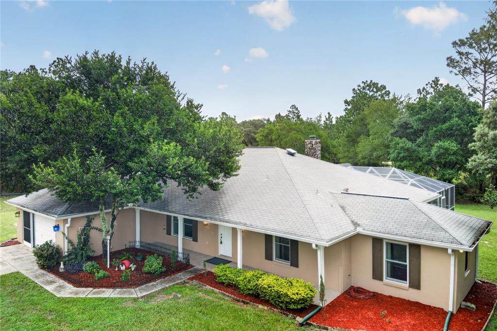 389 Big Tree Road - Photo 1