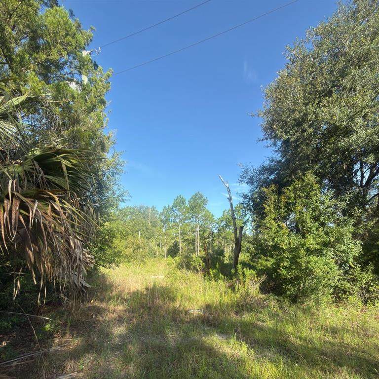 19037 Parakeet Road - Photo 1