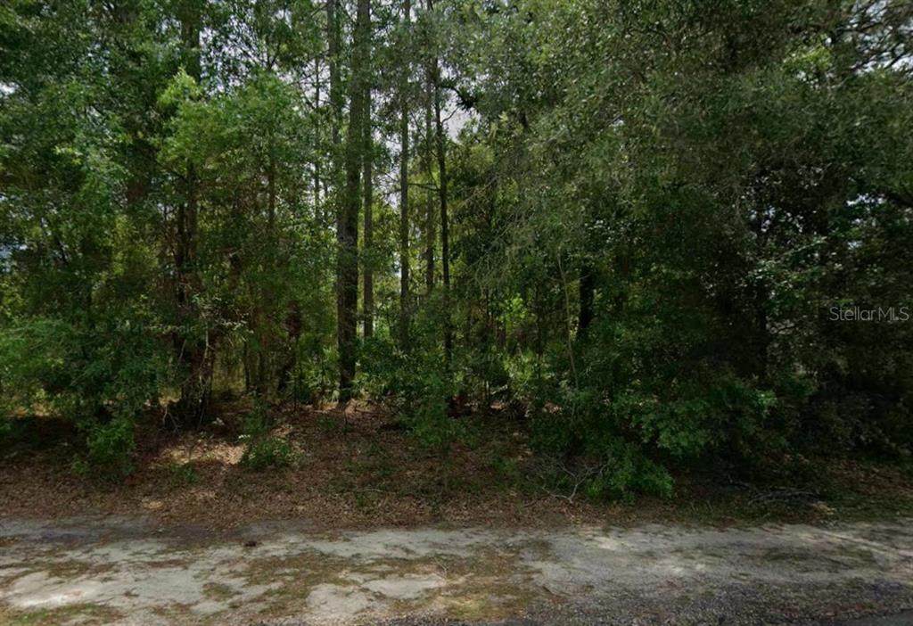 660 Anderson Lane - Photo 1