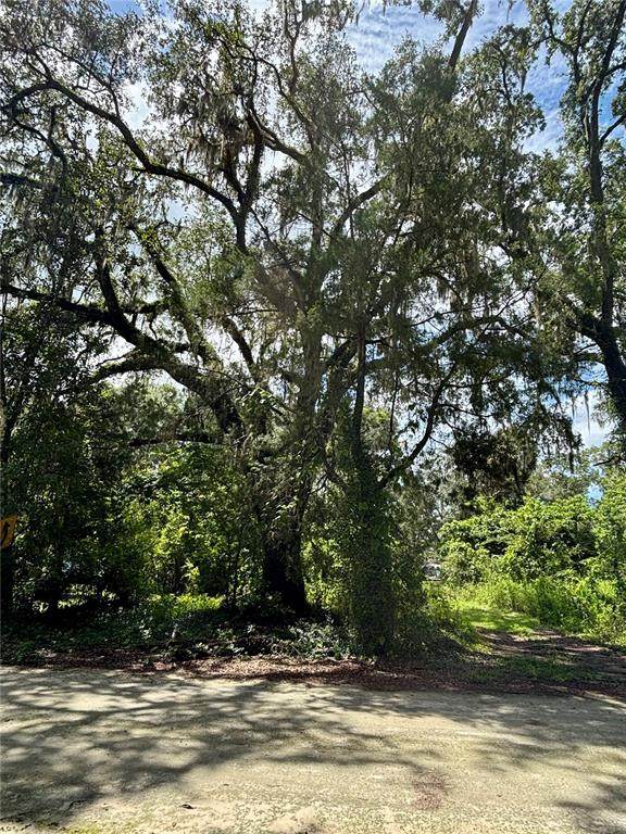 Lot 28 109 Lane - Photo 1