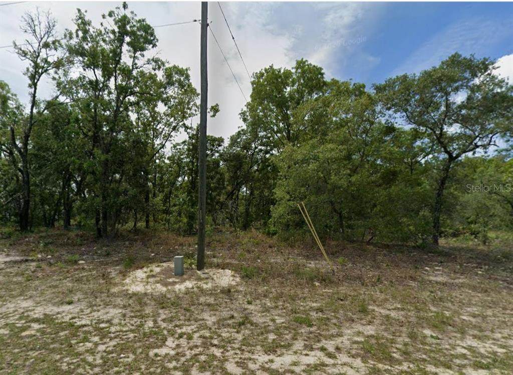 1418 Hampshire Boulevard - Photo 1