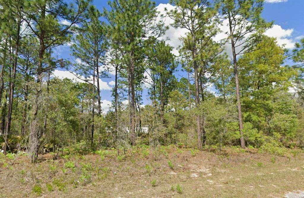 2175 Galaxy Lane - Photo 1