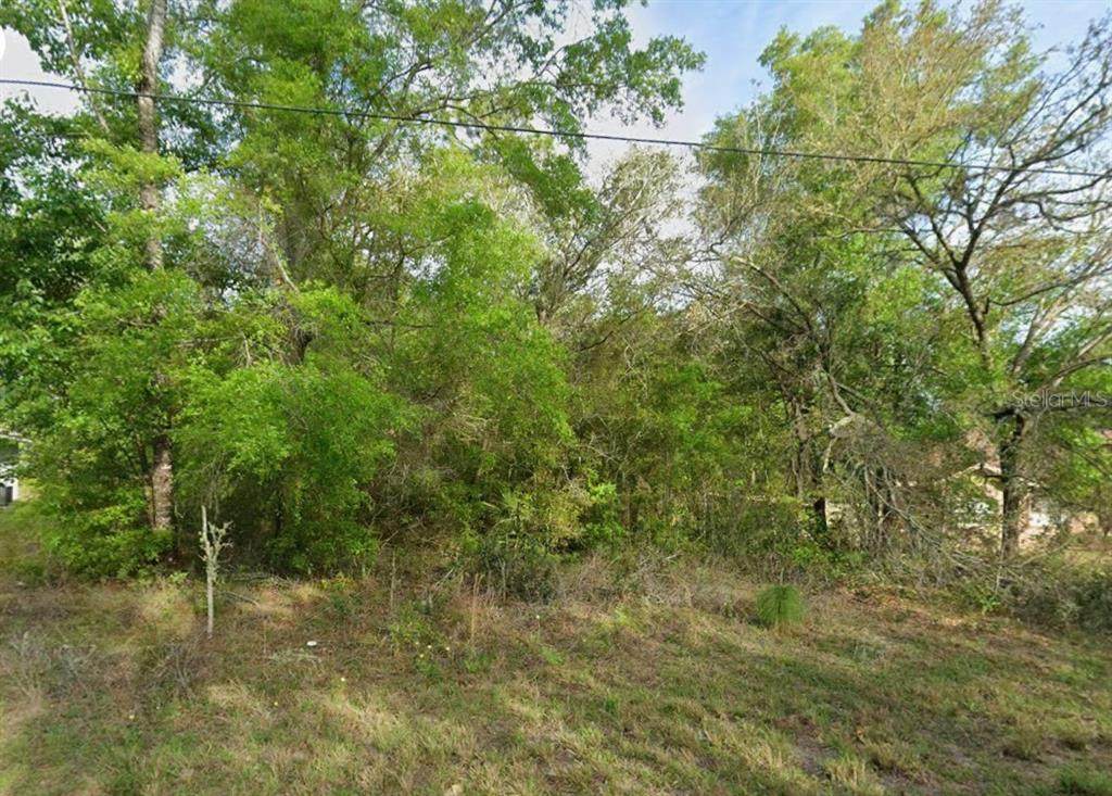 8280 Galena Avenue - Photo 1